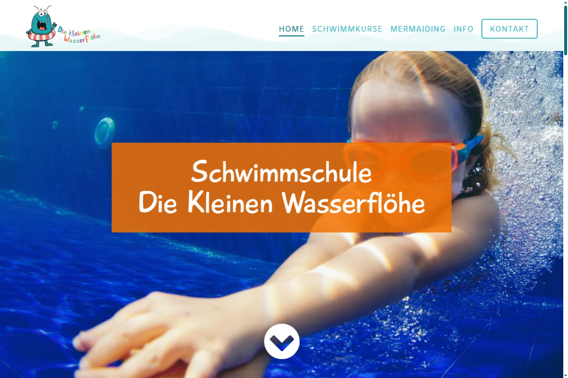 Die kleinen Wasserflöhe 1